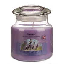 WL 콜로니 홈프라그랑스 자캔들M CH0761 후레쉬라벤더/011153