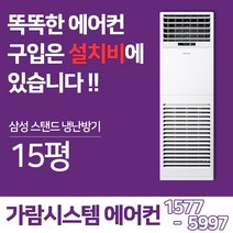 삼성 인버터 스탠드형 냉난방기 냉온풍기 TW0600P2S 15평 4WAY 업소용 겸용 에어컨, 50