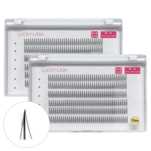 엘스몰 6줄속눈썹 가닥속눈썹 인조 연장 아이돌아이래쉬 A형 총480모, A형12mm × 2개(480모)