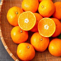 제주 서귀포 [특]등급 고당도 하우스감귤 5kg L사이즈, 단품