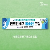 엠블루11 스포츠 축구 야구 농구 동호회 회원모집 축구교실 야구교실 농구교실 여자배구 레슨 왕중왕전 친선경기 대회 행사 현수막, 16_민트윈배구 동호인 모집