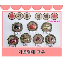 가을열매교구 / 가을열매 / 가을교구