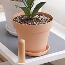 사무실 이전선물용 미니화분 작은화분 집꾸미기, 그레이