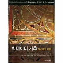 웅진북센 빅 데이터 기초 개념동인기법, One color | One Size@1
