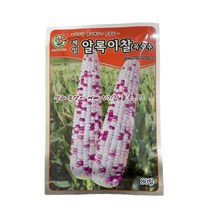 알록이 찰 옥수수 씨앗 80립 [22년포장] 제일 옥수수 종자