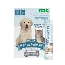비비씨 온가족 영양제 여성 프리바이오틱스 강아지 고양이 유산균 모음, 1개, 뼈튼튼 유산균본펩 1개월