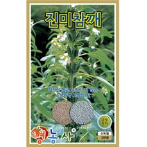 슈퍼진미 참깨씨앗 3000립, 단품