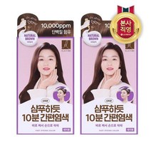 [LG생활건강] 엘라스틴 샴푸하듯 10분 간편염색 80g x 2개 자연갈색, 1세트