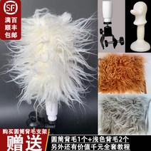 연습용 자격증 애견미용 견체 시저링 커트 위그램클립 모형 무스타슈 테디베어, 단일사이즈, 브래킷