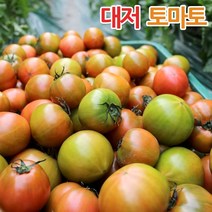 부산 대저 토마토 가정용 사이즈 랜덤발송 2.5kg, 1개