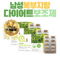 남자 술배 뱃살 얼굴살 관리 내장 지방 빼는 탄수화물 흡수 억제 도움 기능성 레몬밤 카테킨 녹차 추출물 다이어트 남성 20대 30대 그린 커피빈 녹차 추출물 카테킨 비오틴