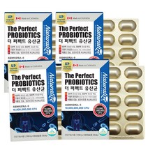 더퍼펙트 유산균 프리 프로 바이오틱스 500억 마리 락토바실러스 가세리 프롤린 장건강 생유익균 프락토올리고당 신바이오틱스 캡슐, 510mg, 4통