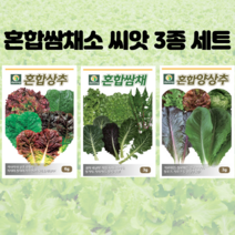 [이마트트레이더스양상추] 혼합 쌈채소 씨앗 3종 세트 상추 쌈채 양상추 채소씨앗 주말농장 텃밭 홈가드닝