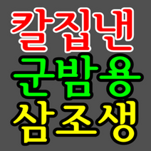 [무농약 공주알밤] 칼집낸 군밤용 에어플라이어용 가정용, 삼조생, 특 2kg