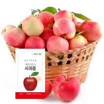 케이셀러 사과즙 100% 입안가득 상큼 사과쥬스 100mlx100포