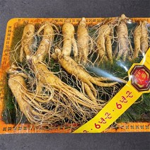 [풍기인삼] 6년근 수삼선물세트 750g, 선물세트(대) 750g(9~10뿌리)x1세트