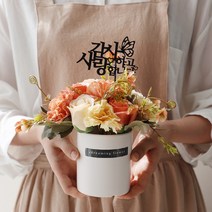 라벨르 카네이션 로즈 화분 캐리어 세트, 1, 메리골드