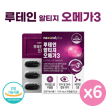 루테인 알티지 오메가3 30캡슐 식약처 인증 혈행 개선 청소년 학생 직장인 부모님 노인 눈 건강 영양제 Lutein rTG Omega3, 30정, 33g, 6개