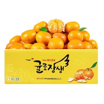 제주시농협 귤로장생 햇 노지감귤 4.5kg 9.5kg 로얄과 중대과, 제주시 농협 햇 노지감귤 9.5kg 중대과