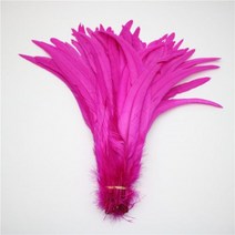 100pc 천연 콕 테일 깃털 25-40cm / 10-16 인치 의류 장식 무대 공연 수탉 도매, [02] 30-35cm, [11] 장미