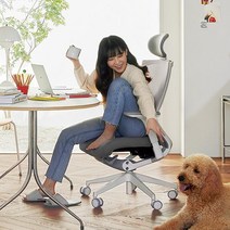 시디즈 T50 컴퓨터 책상 의자 화이트 (HA), 그레이