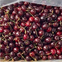 미국/칠레 톡톡 달달한 항공직송 프리미엄 생체리 고당도 17브릭스 500g
