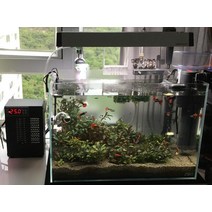 일정한 온도 조절 반도체 전자 냉각기 소형 및 마이크로 수족관 35 리터 수조 순환, 35L hot and cold
