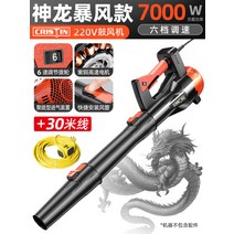 충전식 송풍기 소형 건설현장 청소기 독일 건설 무선, CT블랙 7000W 6단 + 30m