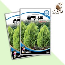 측백나무 200립 세계종묘 수목종자 씨앗 속성수 수목