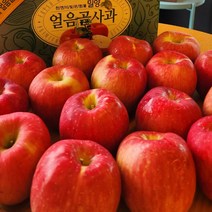 [외할머니밥상] 밀양 얼음골 아삭아삭 꿀사과 5kg 10kg / 사과즙, 02 사과 중대과 5kg(13-17과)