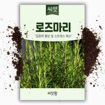 로즈마리 씨앗 (30립) 허브, 1개