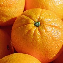 크기 소과 지역 랜덤 미국오렌지 3kg 썬키스트 당도, 1, 본상품선택