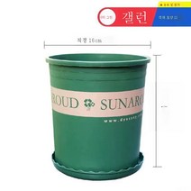 ZZJJC 화분 대전다육플라스틱 특대호 월계다육분재 화분수지갤런 화분, 하이 1갤런 [구경 16cm] 3개담는다., 화분 받침대 없음(비료 보내기)