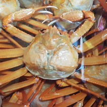 주문진 산지직송 살아서 받아보는 살이 꽉 찬 박달홍게 3마리(1.2 kg), 3마리, 10cm(수율85%이상)