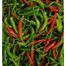 국내산 못난이 반홍 청양고추(매운맛) 빨강.파랑섞인 반홍청양 5-10KG, 1개, 못난이 빨강.파랑섞인 반홍청양 10KG
