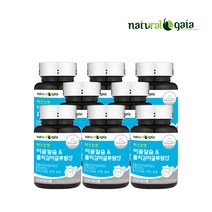 내츄럴가이아 어골칼슘 폴리감마글루탄산 비타민D 마그네슘 아연 칼슘 8개월분, 단품, 단품
