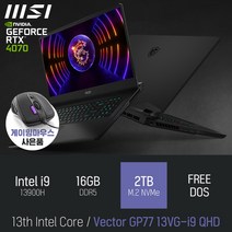 MSI Vector GP77 13VG-i9 QHD [이벤트 한정특가 / 사은품증정], FREE DOS, 16GB, 2TB, 코어i9, 블랙