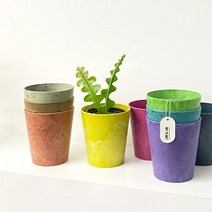 아트스톤 그로워클레어 플라스틱 저면관수 인테리어 화분, 나이트블루