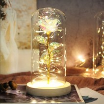 유리돔 LED 장미, 홀로그램