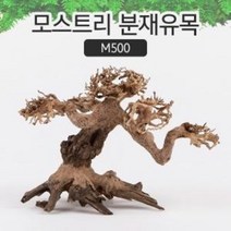 모스트리 분재유목 M500 베트남유목 수족관 어항꾸미기