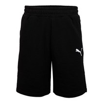 푸마 팀골 23 캐쥬얼 반바지(65658103) 검정