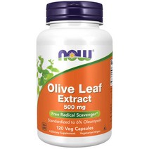 나우 올리브잎 추출물 500mg 120캡슐-올유로핀 Now Olive Leaf Extract (미국배송)