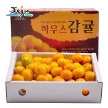 제주직송 올탑농원 하우스감귤 2.5kg중대과, 2.5kg (중대과), 1개
