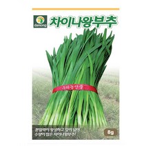 차이나왕부추 20g 차이나왕부추씨 차이나왕부추종자 차이나왕부추씨앗