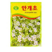 SN월드 중앙꽃씨 씨앗, 중앙꽃씨-안개초10봉