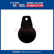 엔진 진동감소 튜닝 맥동댐퍼 (218233LAA0)