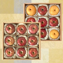 [추석선물용] 프리미엄 추석 과일선물세트 사과 배 아보카도 샤인머스켓 망고 애플망고 혼합 세트 과일 추석 명절선물세트, 1개, 1-5) 프리미엄 사과배 선물세트