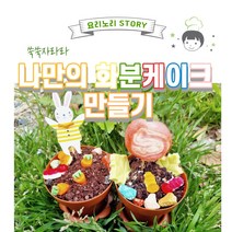 쑥쑥자라라 나만의 화분케이크 만들기 집콕놀이 밀키트, 1개