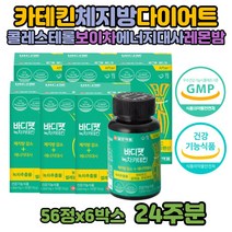 중년 60대 카테킨 다이어트 비타민 체지방 감량 감소 겨울 환 다이어트방법 전후 식후 먹으면서 체지방 감량 컷 녹차 레몬밤 보이차 추출물 체중 체지방률 50대 30대 다이어트건강기능식품 DIET