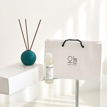 오늘 도자기 디퓨저 디퓨져 방향제 집들이 부모님 어버이날 카네이션 선물세트, 베이지 핑크, 쇼핑백+꽃 리드, 밤 10시